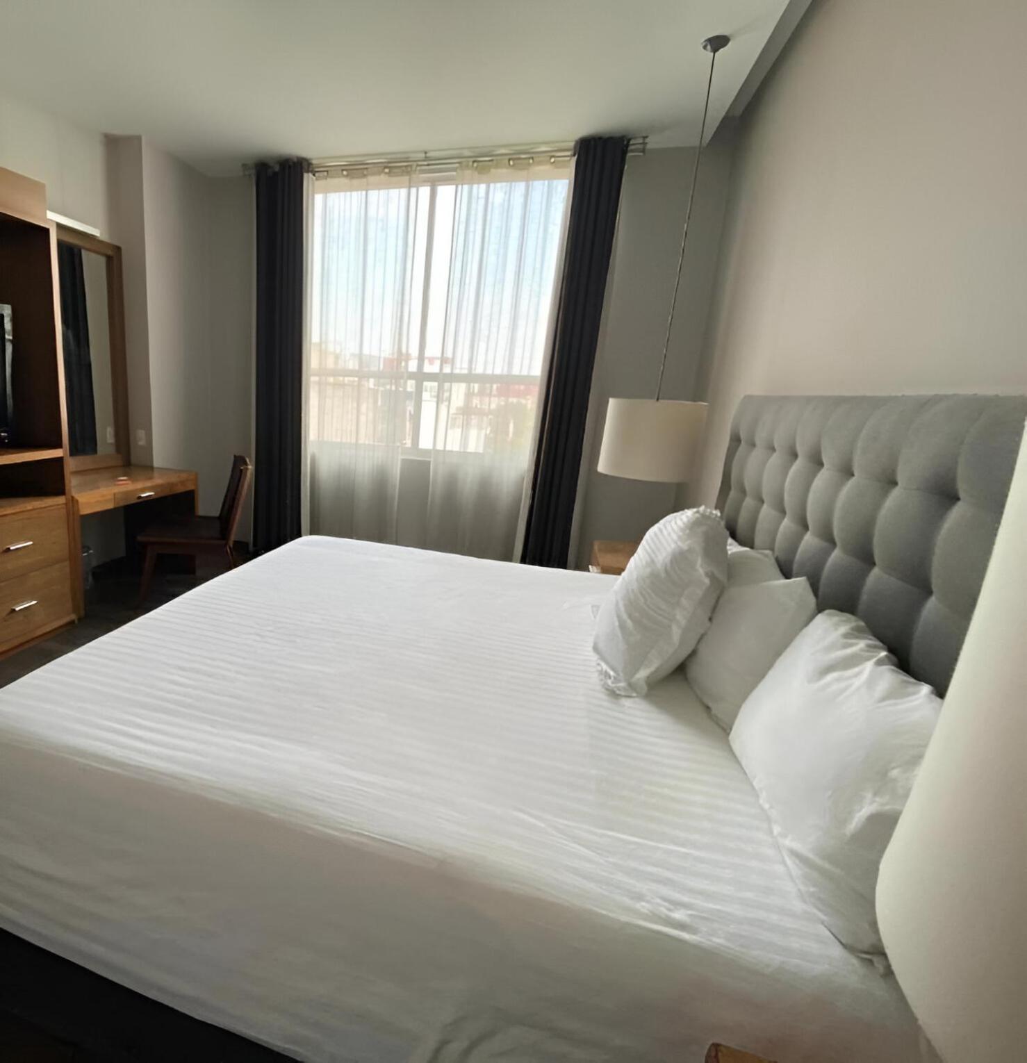 Suites Del Angel Мехико Экстерьер фото