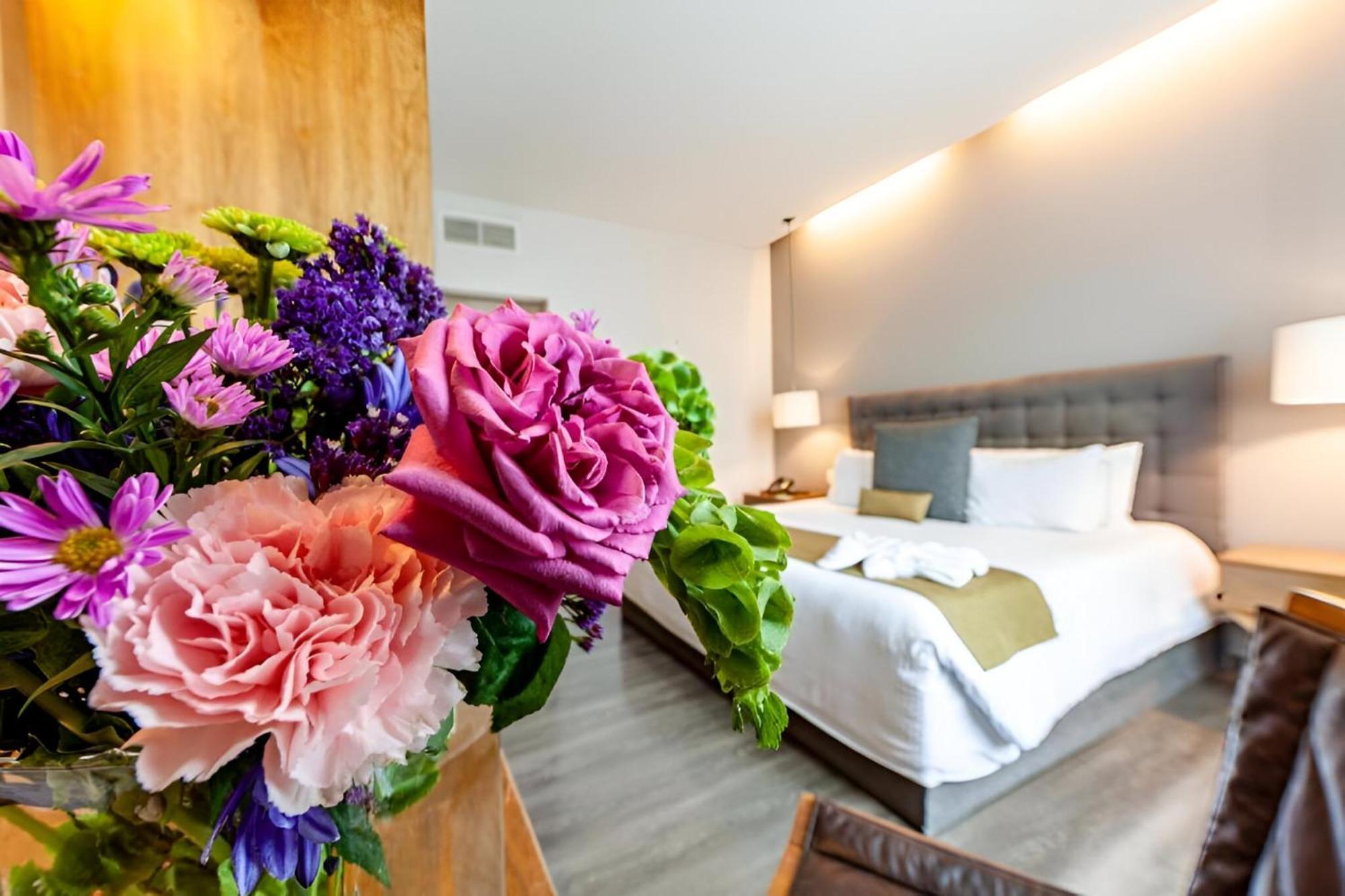 Suites Del Angel Мехико Экстерьер фото